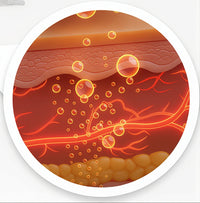 Berberine Release Core Layer